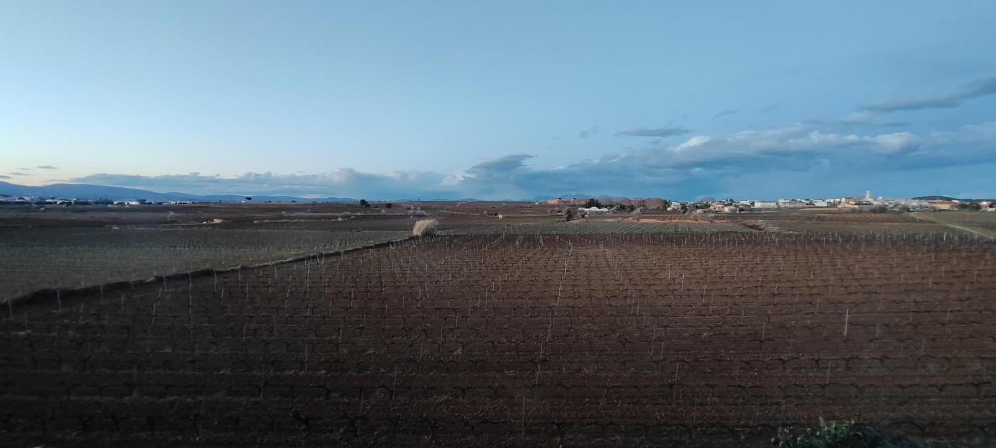 فيلا Cal Llop Sant Cugat de Sesgarrigues المظهر الخارجي الصورة
