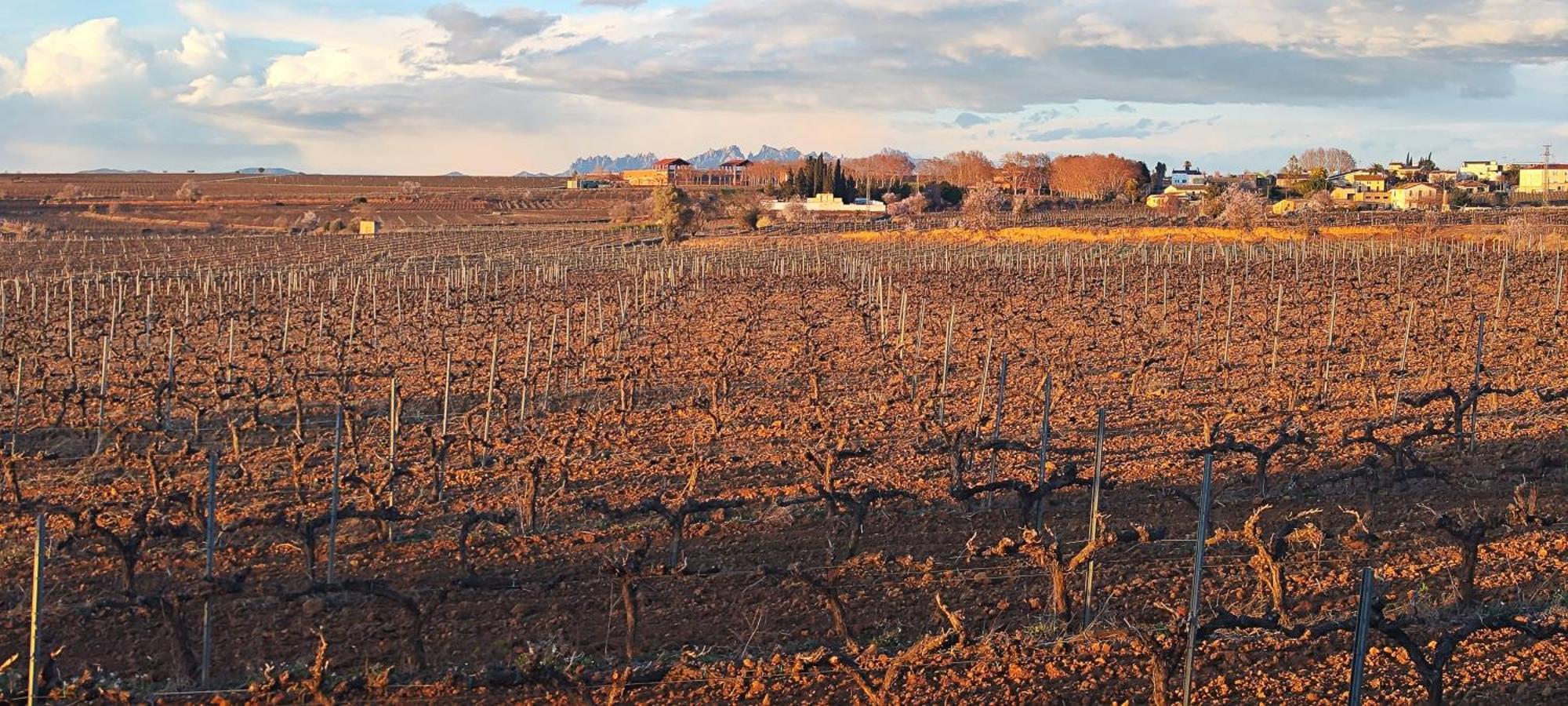 فيلا Cal Llop Sant Cugat de Sesgarrigues المظهر الخارجي الصورة